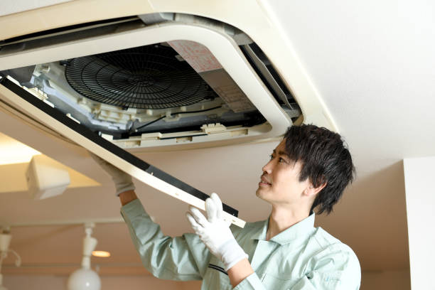 Best Local Air Duct Cleaning Services  in Stony Point, MI